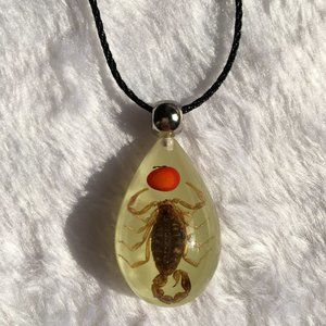 CUSTOM pendant, scorpion amber jewelry from nature